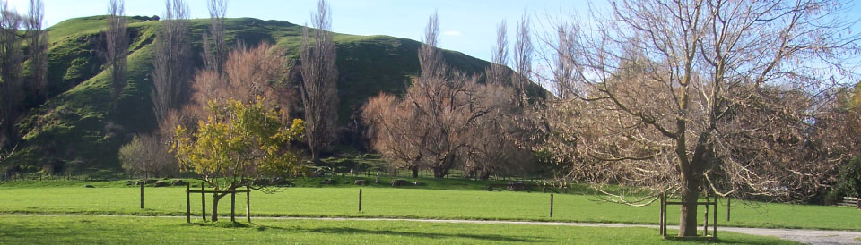 Puketapu